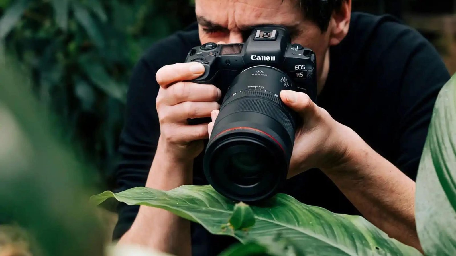 Best Cameras for Macro Photography - Donavan Freberg