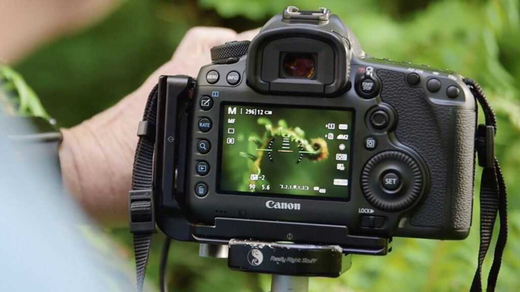 Cameras for Macro Photography